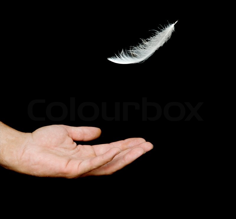 Close up of white feather falling to Stock image Colourbox