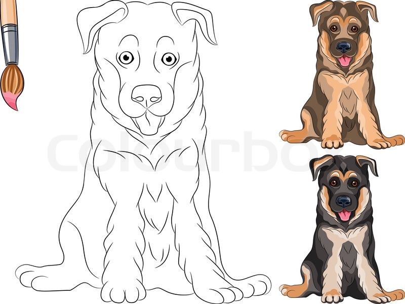 Vector Coloring Book Of Smiling Puppy Stock Vector