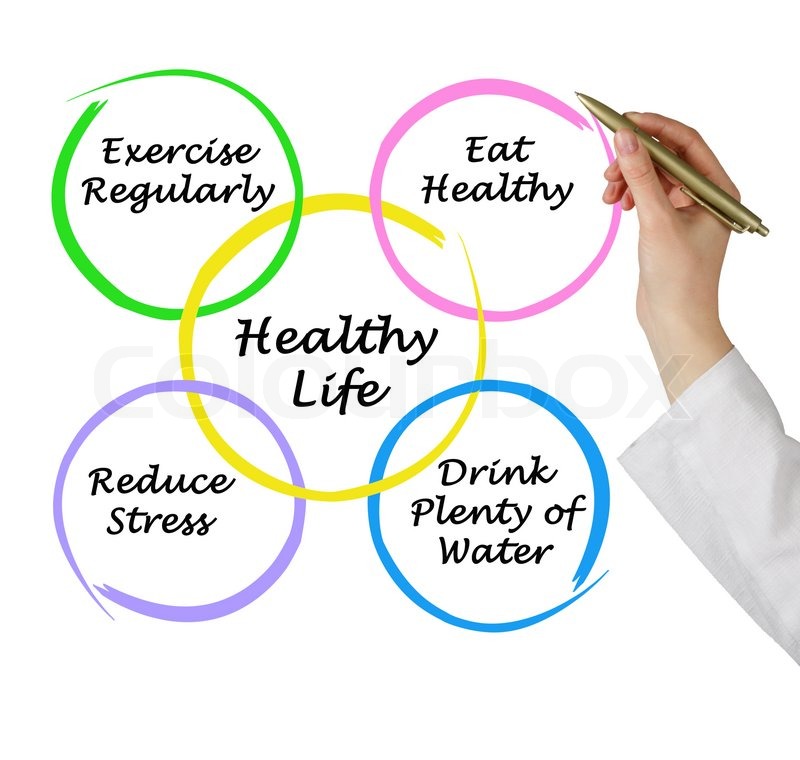 Diagram of healthy life | Stock image | Colourbox