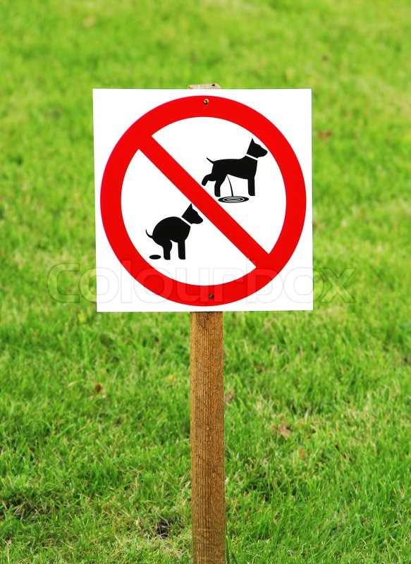 Dog Pissing On The Grass In A Park Dog Pissing On The Grass In A Park