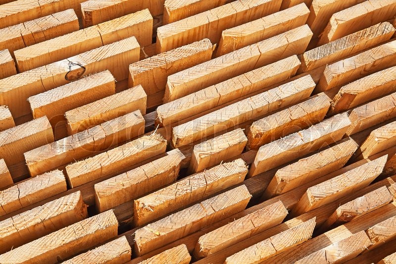 Fresh wooden studs | Stock image | Colourbox