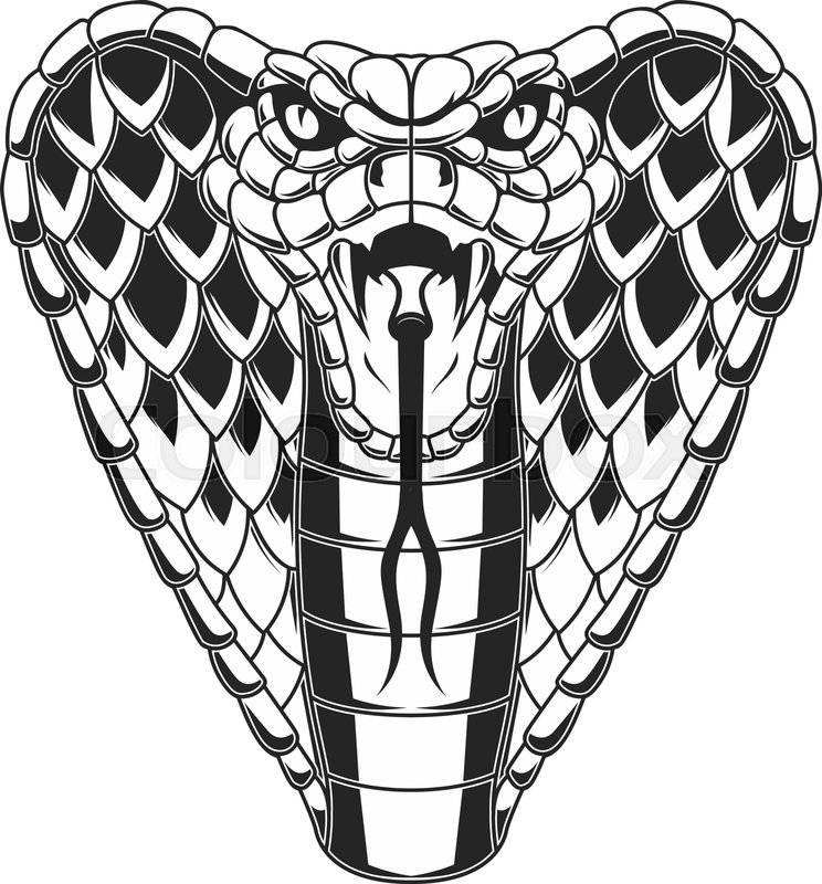 cobra emblem | Stock vector | Colourbox