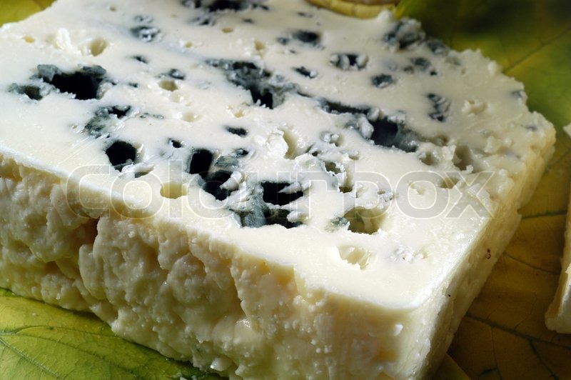 close up of french blue cheese stock photo colourbox