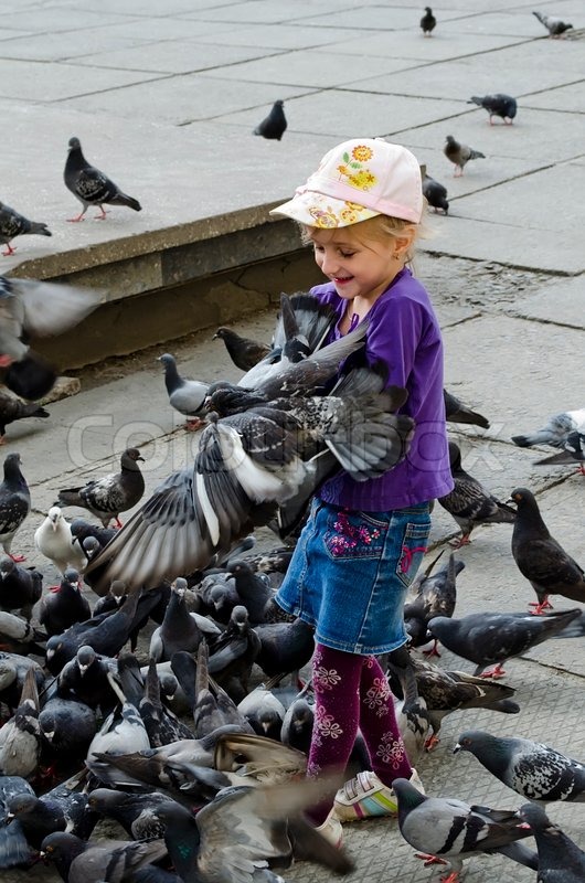 у васи было 6 иностранных марок. математика школа россии 2 часть 1 класс страница 23. голуби в парке. девочка кормила голубей сначала было. сколько всего рублей было у сони.