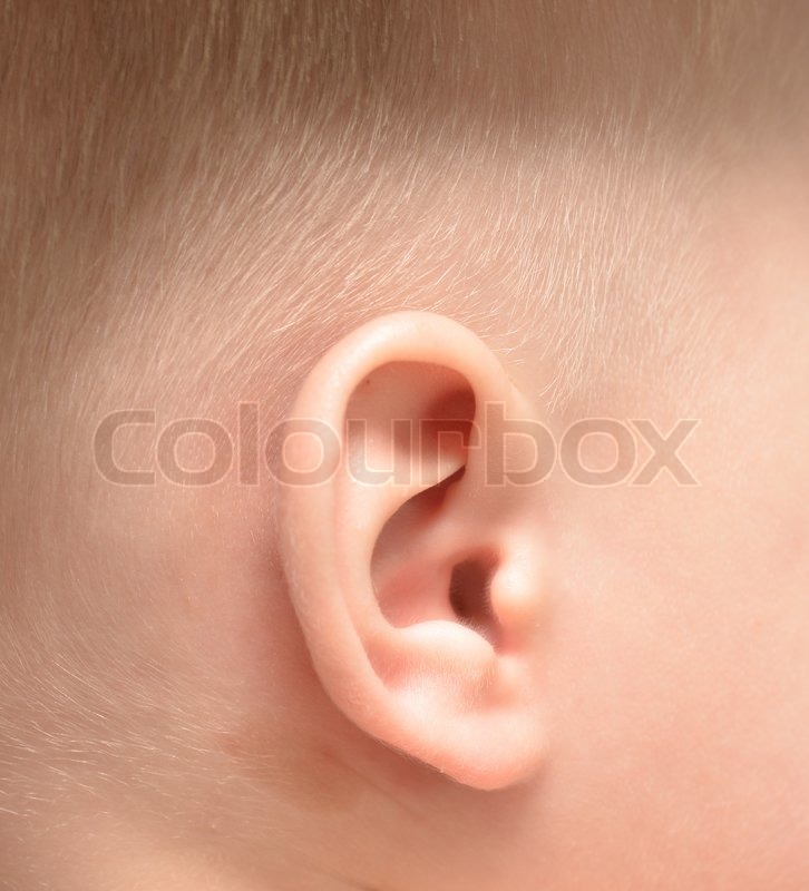 Baby- øre | Stock foto | Colourbox