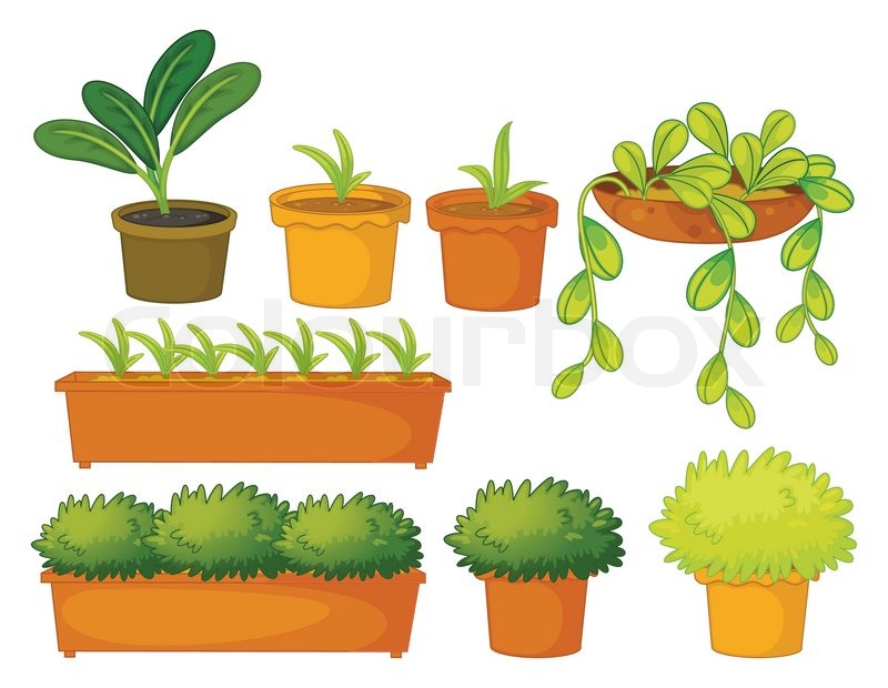 Various plants and pots Stock Vector Colourbox