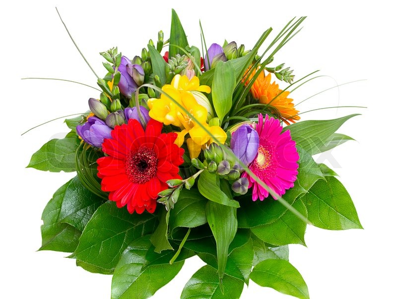 Bunte Blumen -Bouquet auf weißem | Stock Bild | Colourbox