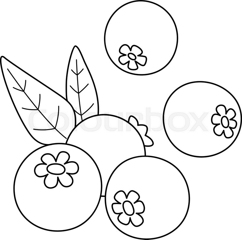 Blueberries Coloring Page