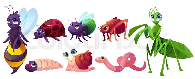 Cute Cartoon Insects
