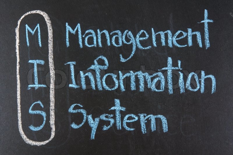 Management information system | Stock Photo | Colourbox