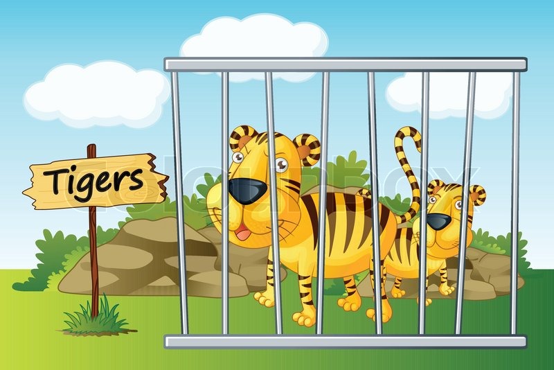 Tiger in cage Stock vector Colourbox