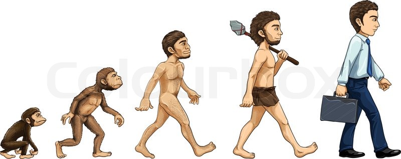 evolutionary line of man