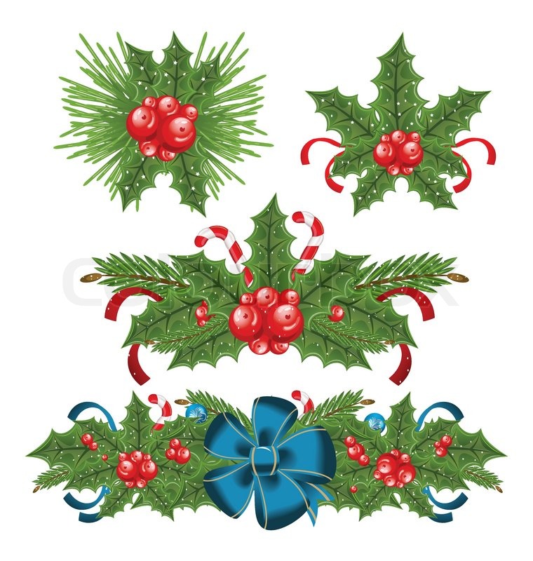 set holly berry sprigs for christmas decorations stock set holly berry sprigs for christmas decorations stock
