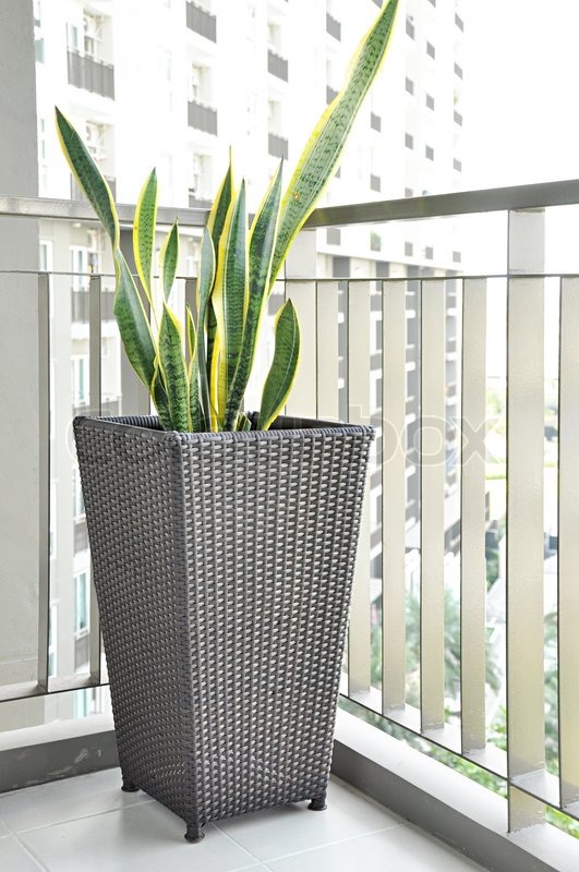 Rattan flower pot on the corridor Stock image Colourbox