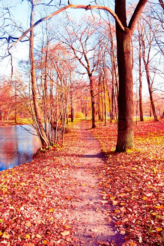 natural background nostalgic scene stock photo colourbox background photo nature