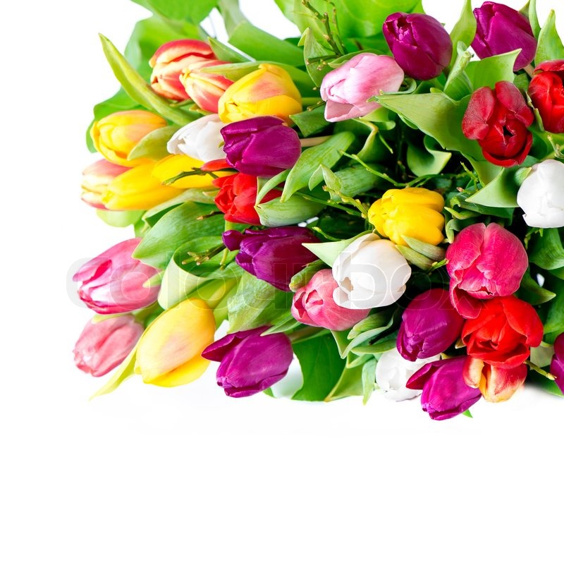 Bouquet of fresh multicolor spring ... | Stock image | Colourbox