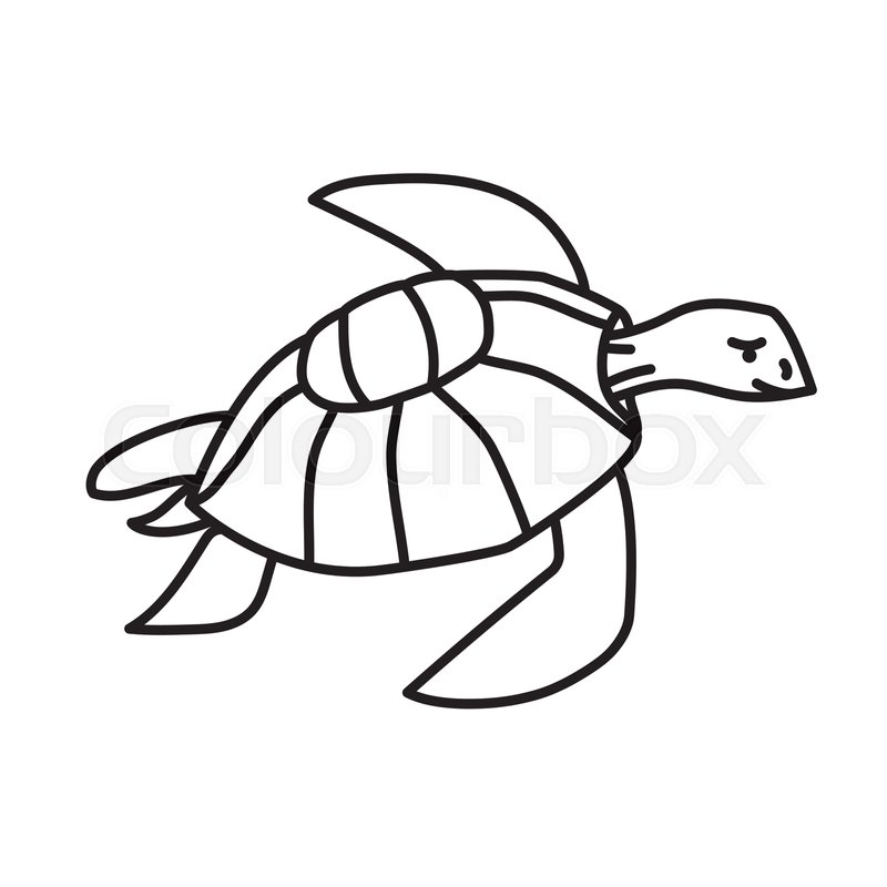 Tribal Turtle Vector
