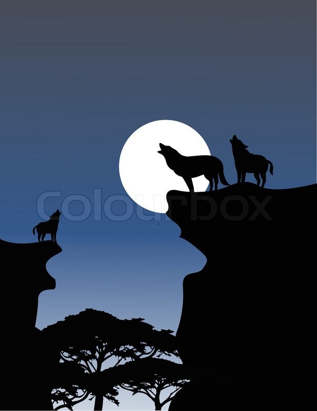 Image Result For Wolf Stock Video Image Result For Wolf Stock Video