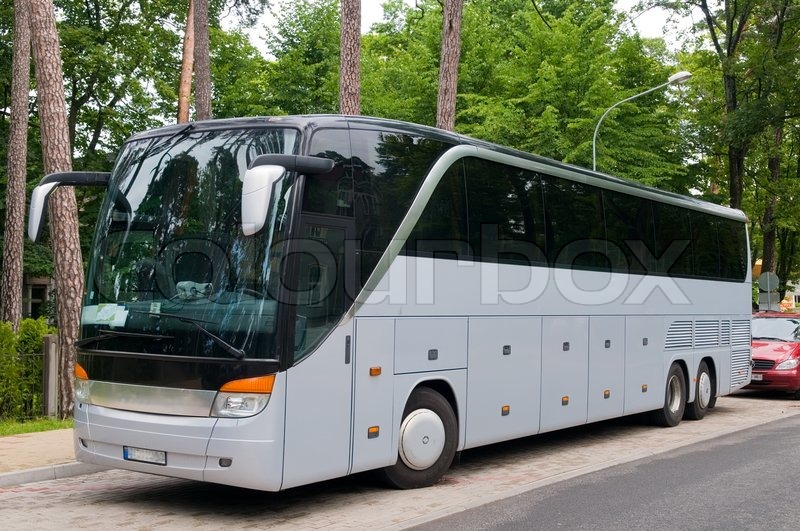 Große Buse Große Buse