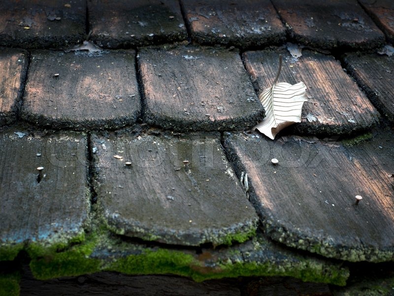 Dach aus Holz | Stock Bild | Colourbox