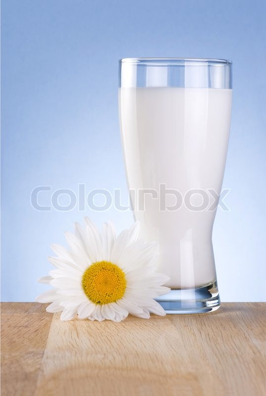 Glas frisk mælk og en kamille blomster er træbord pÃ¥ en blÃ¥ baggrund ... Blå træborde