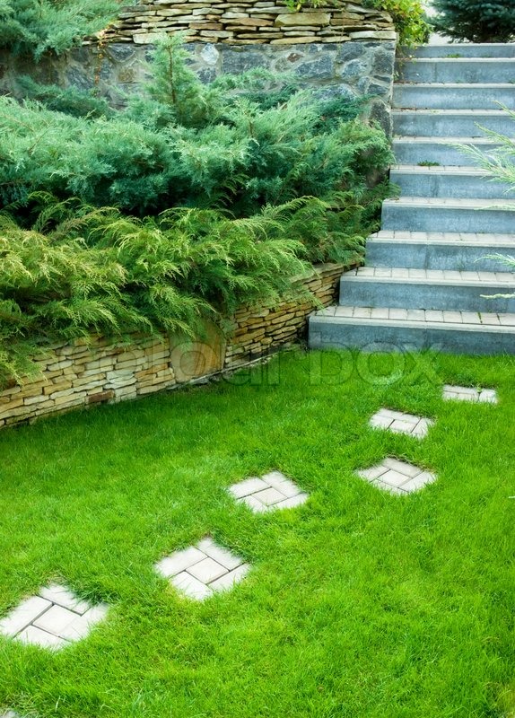 Botanischer Garten | Stock Bild | Colourbox