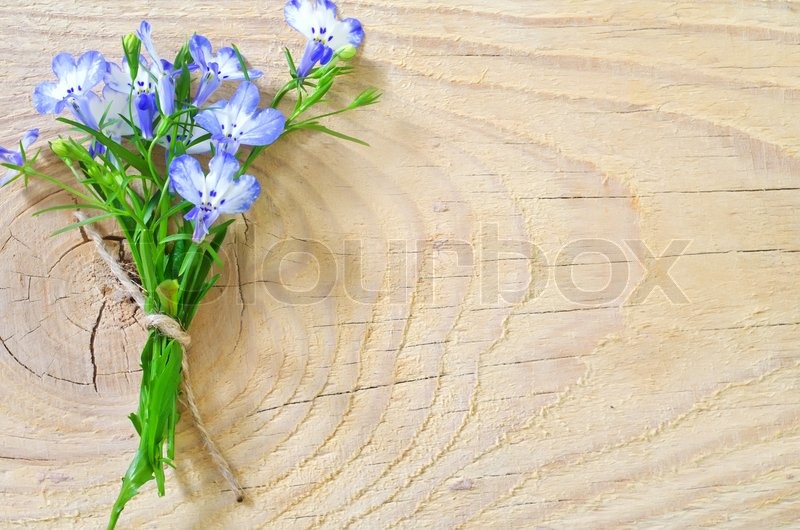 Flowers on wooden background | Stock image | Colourbox