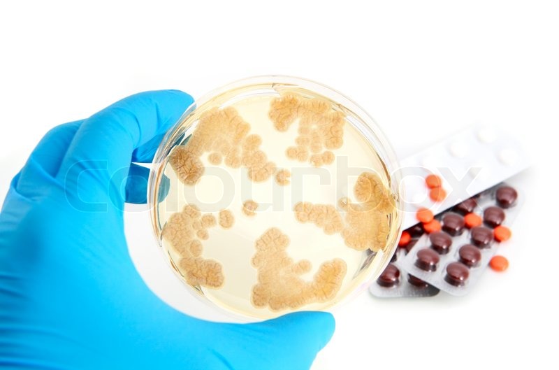 antibiotika svamp antibiotika svamp