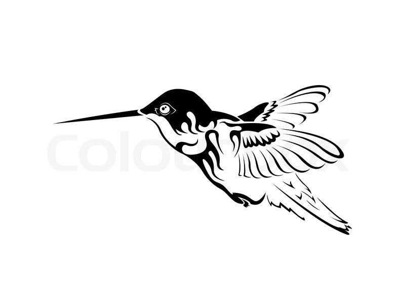 the figure shows a hummingbird hovering in black and white the figure shows a hummingbird hovering in black and white