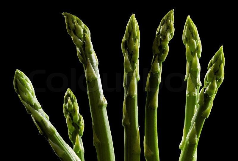 Green asparagus vegetable in black back Stock image Colourbox