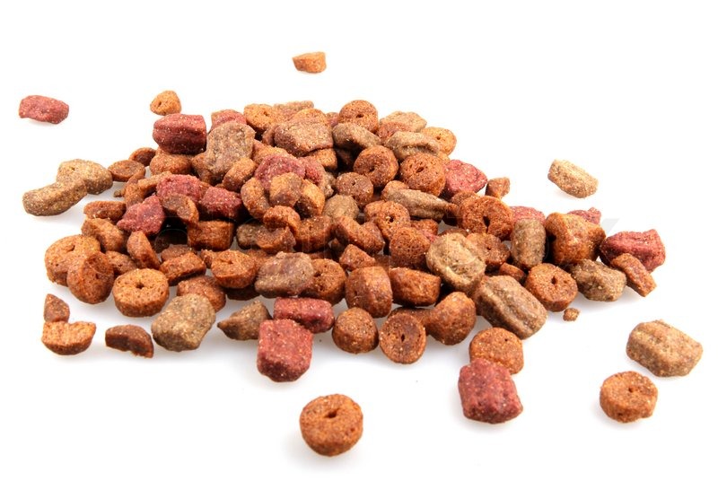 Pet food Stock foto Colourbox