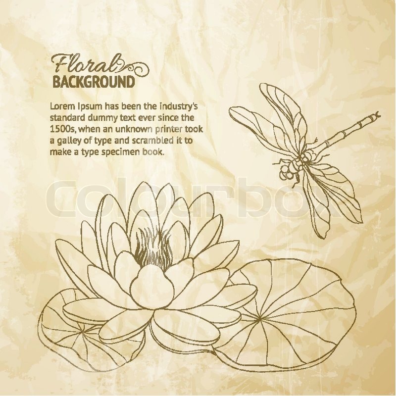 water lily and dragonfly stock vector colourbox water lily and dragonfly stock vector colourbox