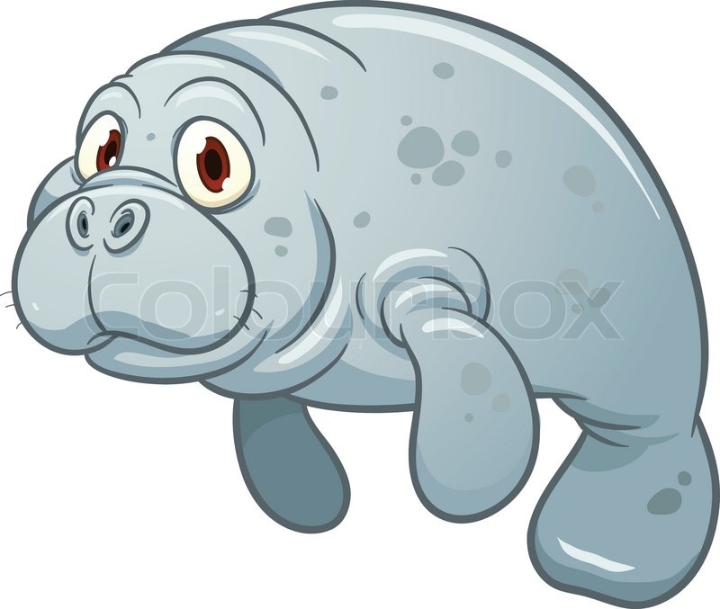 Cute cartoon manatee. Vector Stock vector Colourbox