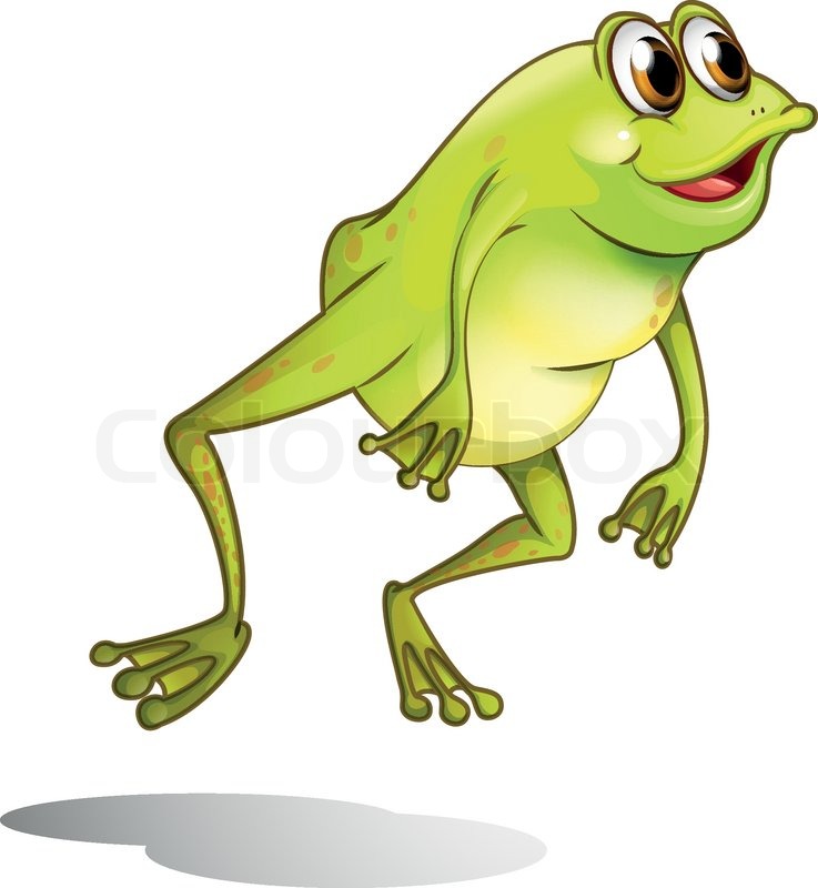 Illustration of a green frog hopping Stock vector Colourbox