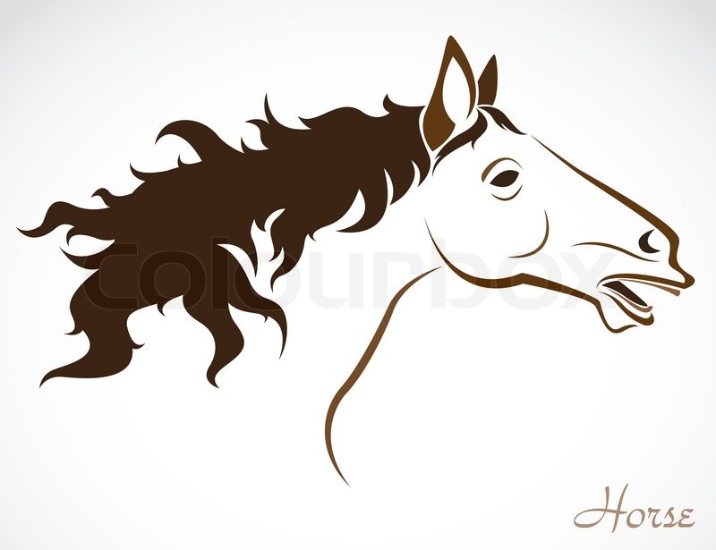 Vector head of horse on a white | Stock vector | Colourbox