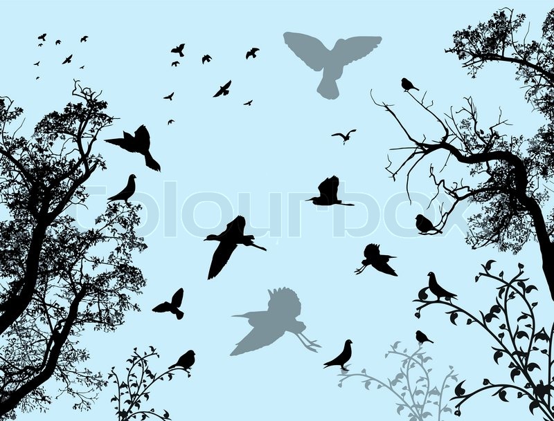 Abstract nature background with birds | Stock vector | Colourbox