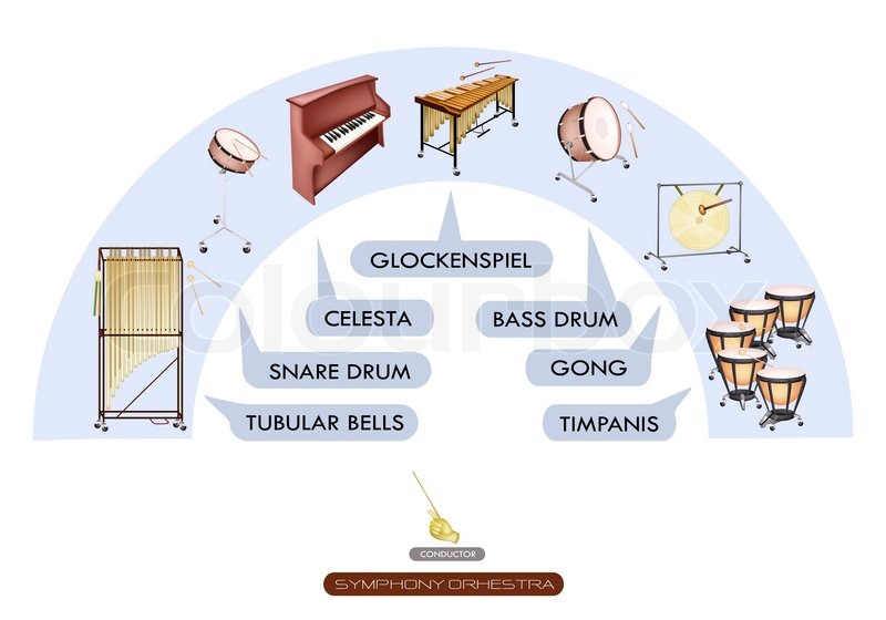 Seating Chart of Percussion Instrument for Symphonic Band Stock Photo