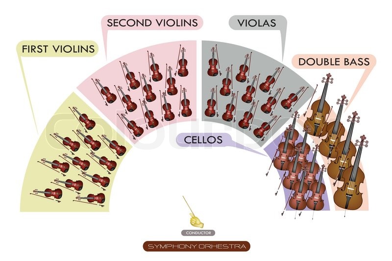 types of stringed instruments in an orchestra