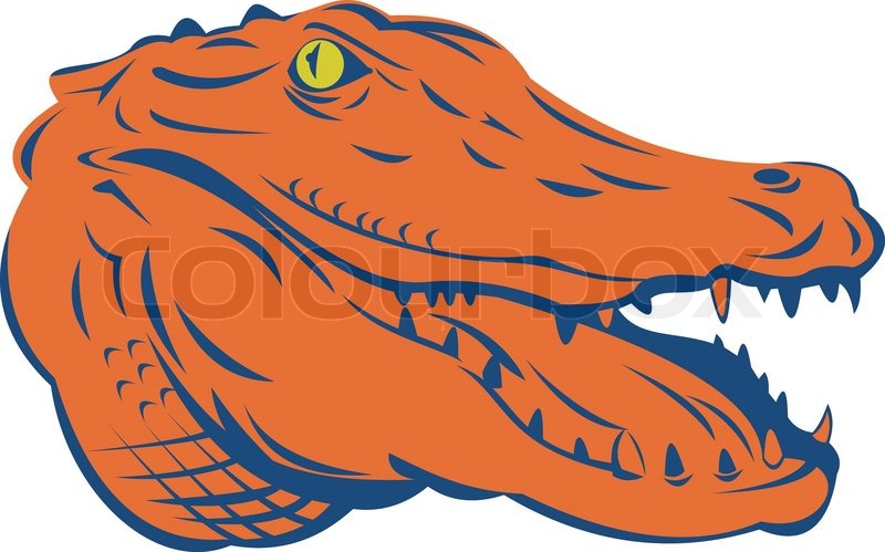 Alligator head | Stock vector | Colourbox