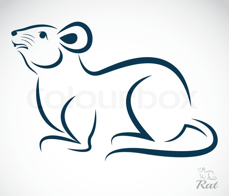 Vector image of an rat | Stock Vector | Colourbox