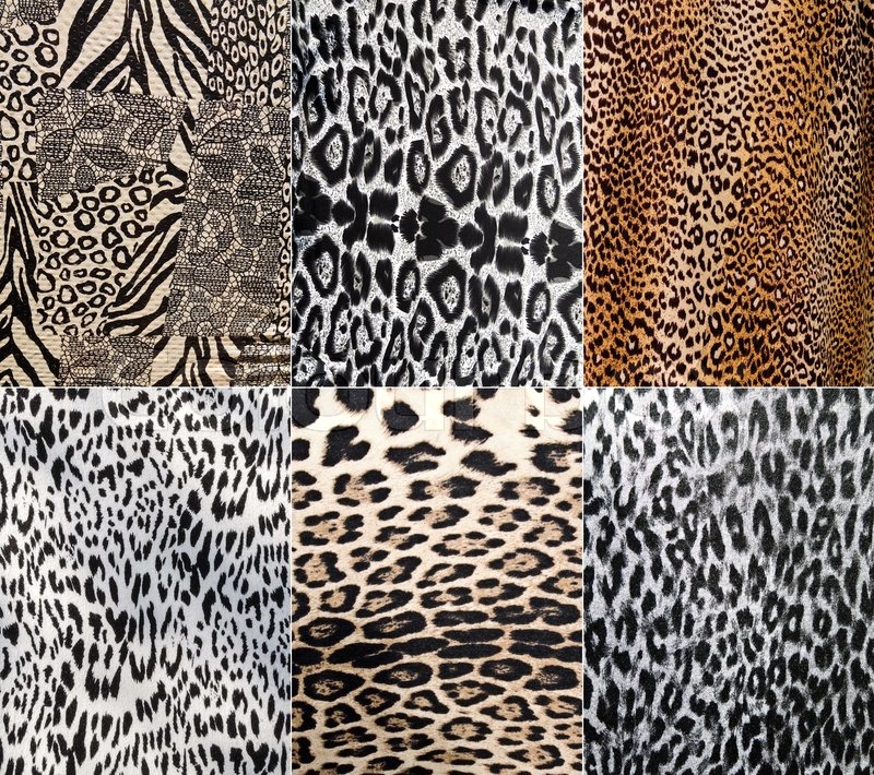 Wild Animal pattern collage Stock image Colourbox Wild animal pattern collage