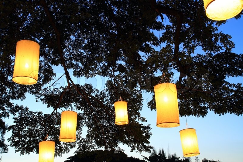 paper lanterns on tree branch stock photo colourbox paper lanterns on tree branch stock photo colourbox