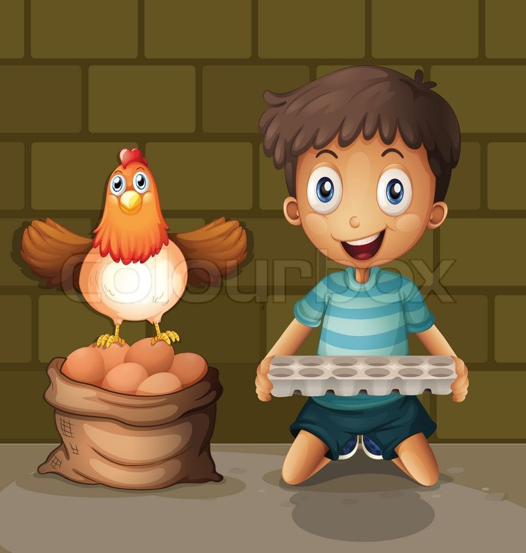 Illsutration of a chicken laying eggs Stock vector Colourbox