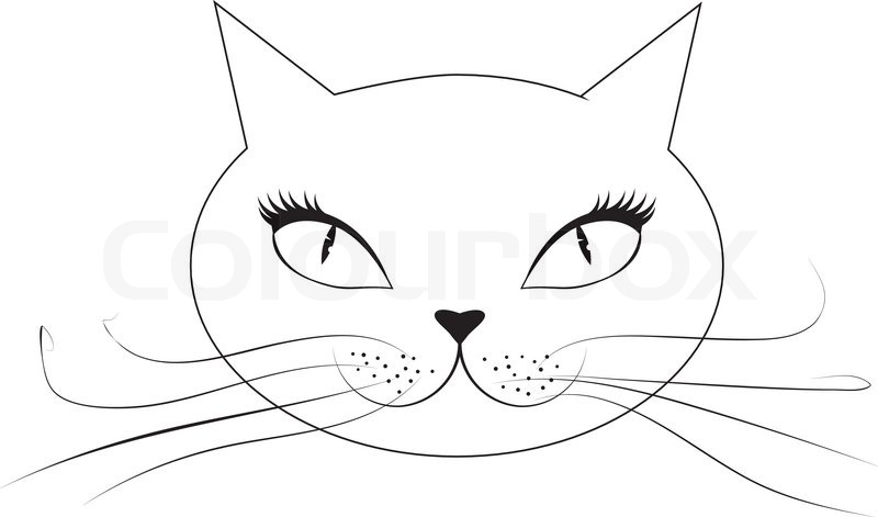 Zeichnung Katzengesicht