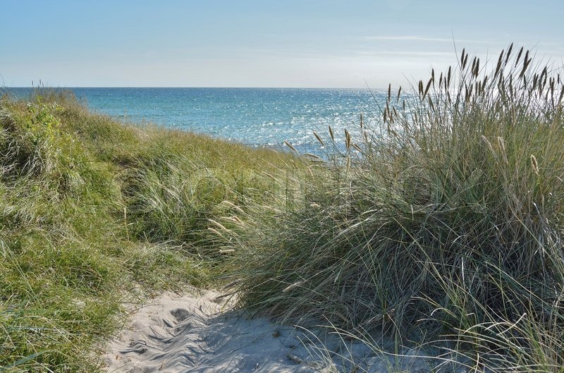 Download Billeder af hav og strand For Android