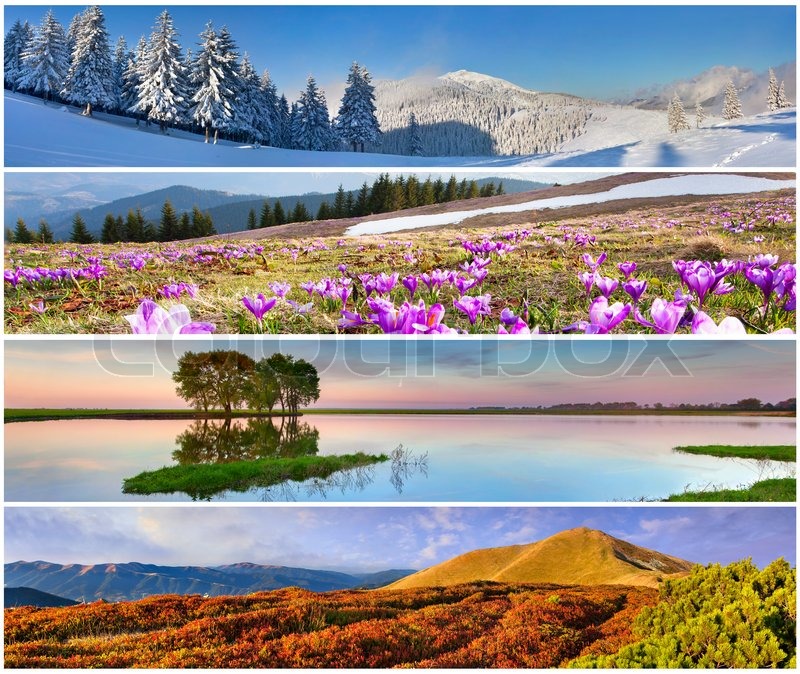 Set of the 4 seasons landscape for ... | Stock image | Colourbox