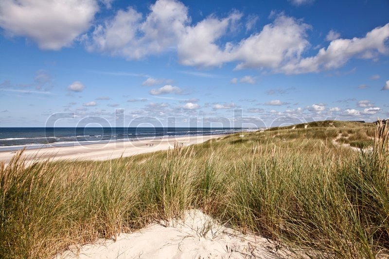 Danish West Coast North Sea beach. Stock foto Colourbox