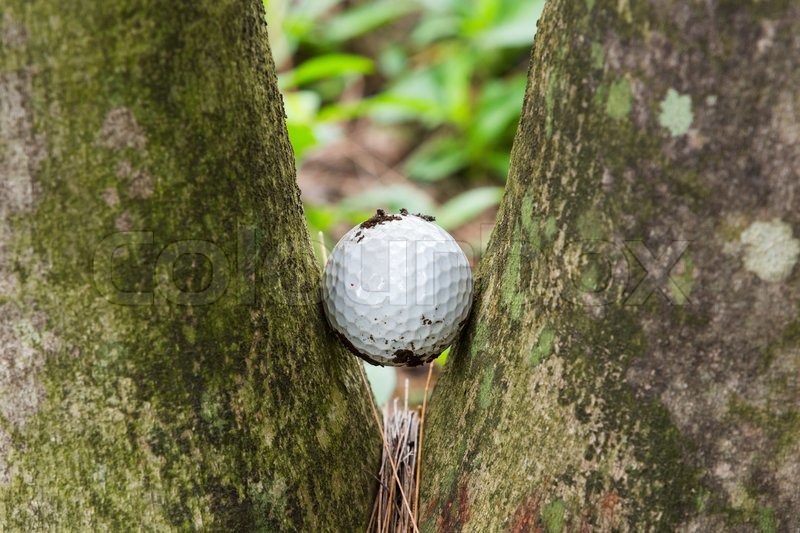 Close up dirty golf ball stuck between Stock image Colourbox