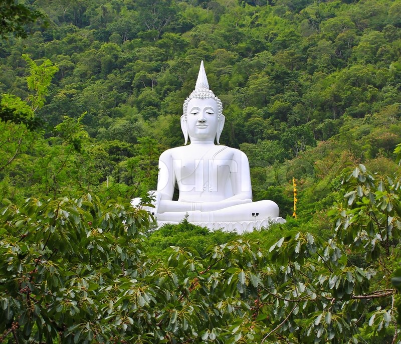Mountain Buddha inforest thailand Stock foto Colourbox