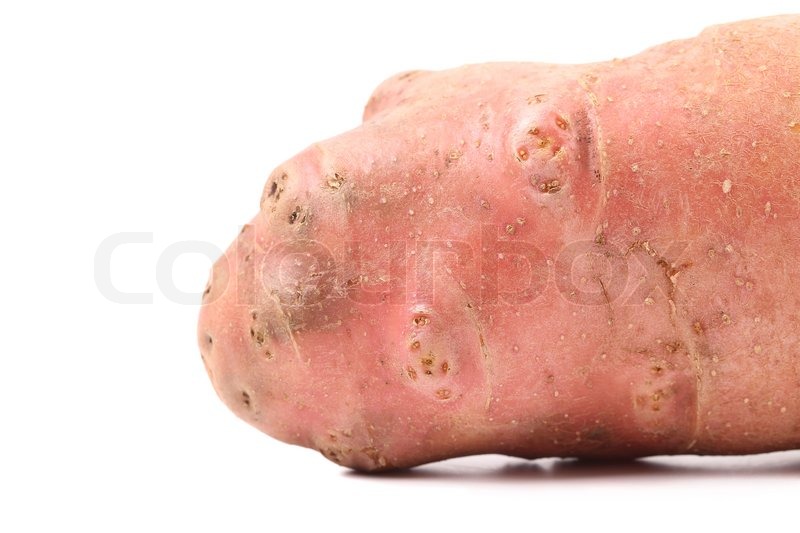 Closeup of fresh potato. Place for Stock image Colourbox